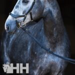 Rédeas de Borracha - Horseware Micklem 2