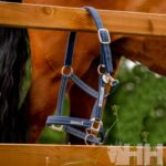 Cabeção Nylon Field - Horseware - Image 3