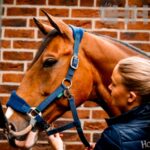 Cabeção Nylon Signature - Horseware - Image 3