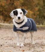 Cobrejão de cão impermeável com forro polar, azul - Image 2