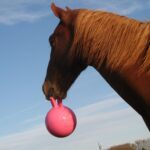 Bola Borracha Anti Stress - Image 3