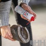 Higienizador de Cascos Frogmedic 200ml Leovet - Image 2