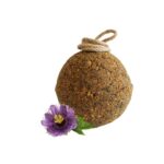 Bola Unika PreQualm - Image 3