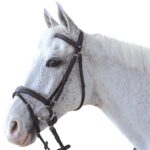 Cabeçada Bridão Canter ORNELLA