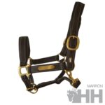 Cabeção Couro - Lexhis Luxe - Image 3