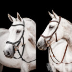 Cabeçada de Bridão Micklem 2 - Horseware