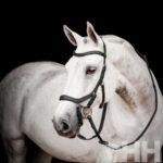Cabeçada de Bridão Micklem 2 - Horseware - Image 3