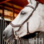 Cabeçada de Bridão Micklem 2 - Horseware - Image 4