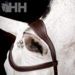 Cabeçada de Bridão Micklem 2 - Horseware - Image 5
