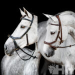 Cabeçada de Bridão C/Argola Micklem 2 - Horseware