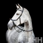 Cabeçada de Bridão C/Argola Micklem 2 - Horseware - Image 2