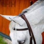 Cabeçada de Bridão C/Argola Micklem 2 - Horseware - Image 4