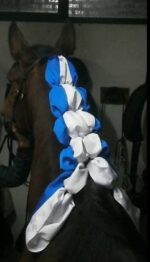 Fita P/Entrançar Cavalos Toureiro Várias Cores - Image 2